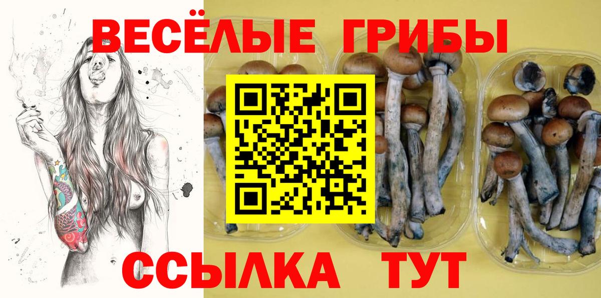 Галлюциногенные грибы мицелий  Вход с VPN  Ефремов 